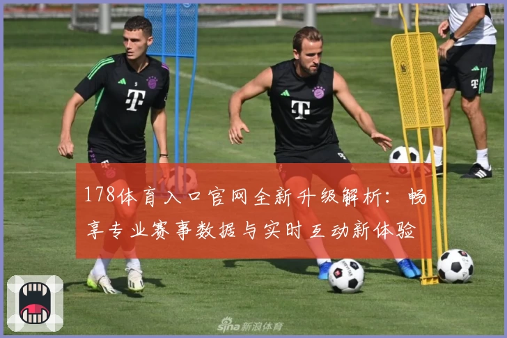 178体育入口官网全新升级解析：畅享专业赛事数据与实时互动新体验