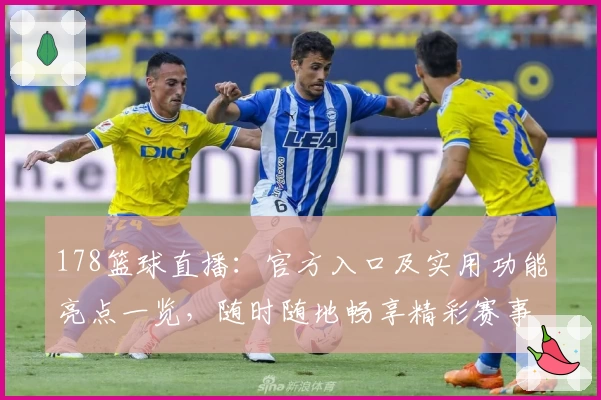 178篮球直播：官方入口及实用功能亮点一览，随时随地畅享精彩赛事