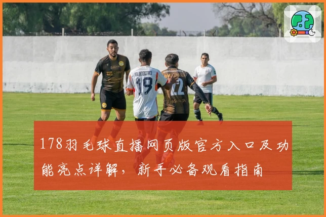 178羽毛球直播网页版官方入口及功能亮点详解，新手必备观看指南