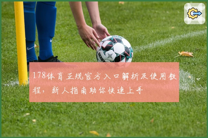 178体育正规官方入口解析及使用教程，新人指南助你快速上手